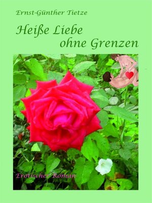 cover image of Heiße Liebe ohne Grenzen